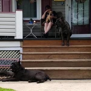 Meet your Posher, Susan